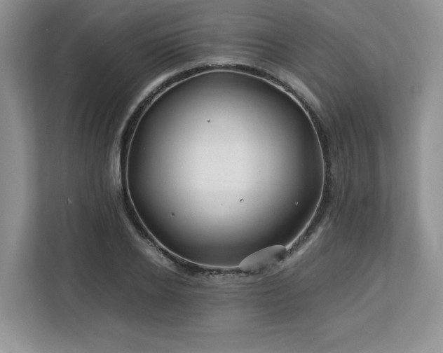 X0000113090934200908281240