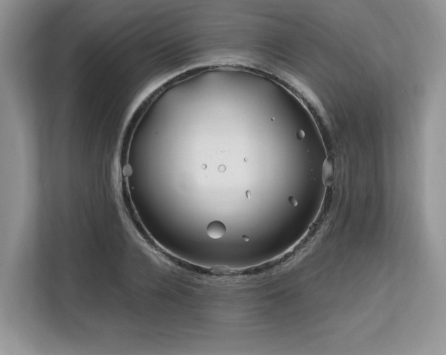X0000113090936200908281240