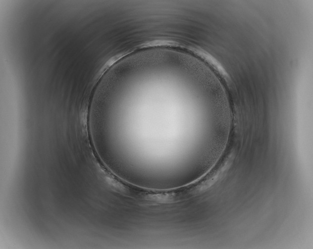X0000113090937200908281240