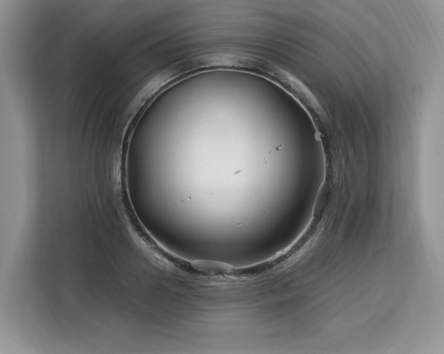 X0000113090938200908281240