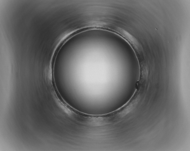 X0000113090940200908281240