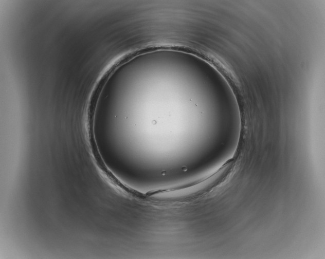 X0000113090942200908281240