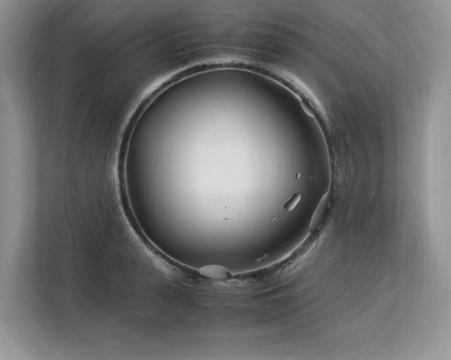 X0000113090943200908281240