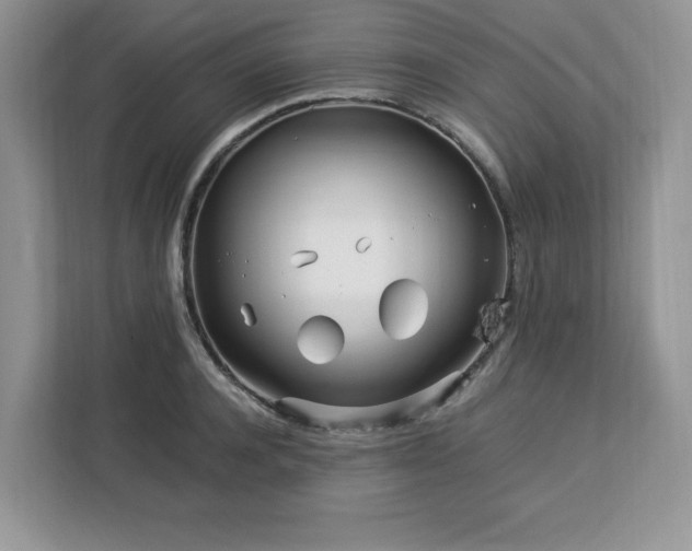 X0000113090944200908281240