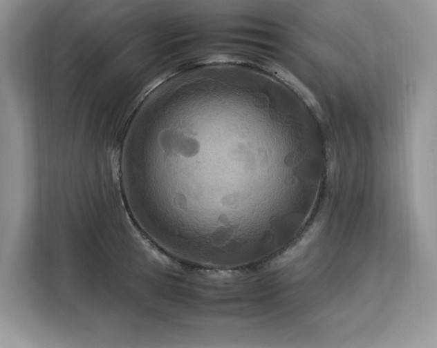 X0000113090945200908281240