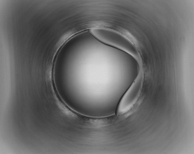X0000113090946200908281240