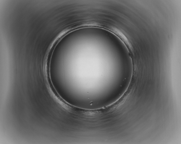 X0000113090947200908281240