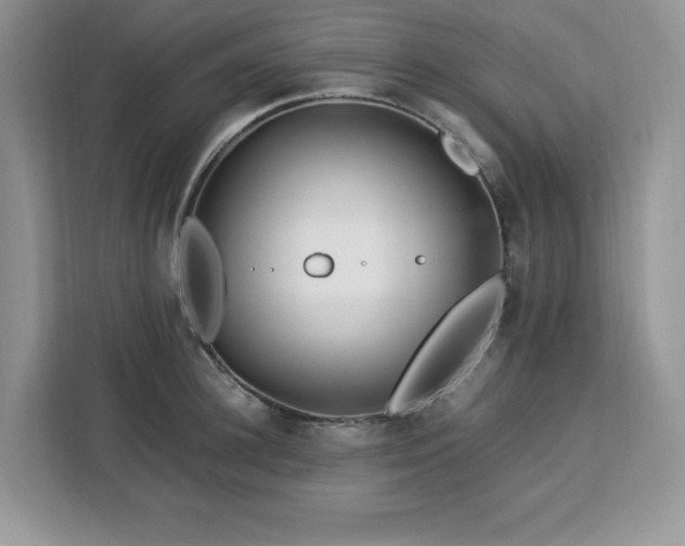 X0000113090948200908281241