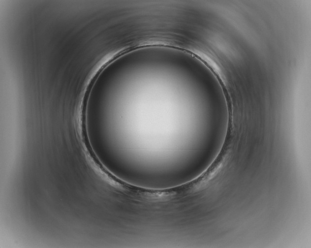 X0000113090949200908281241
