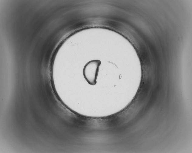 X0000113090950200908281241