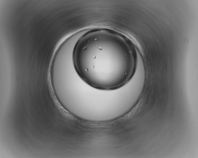 X0000113090952200908281241