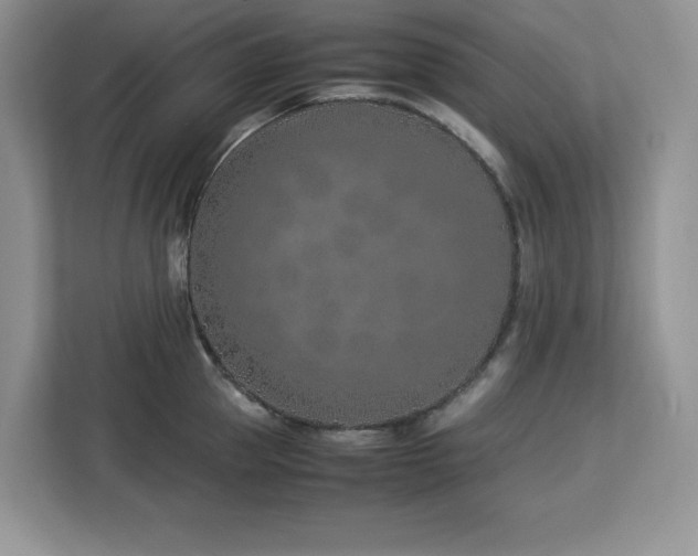 X0000113090953200908281241