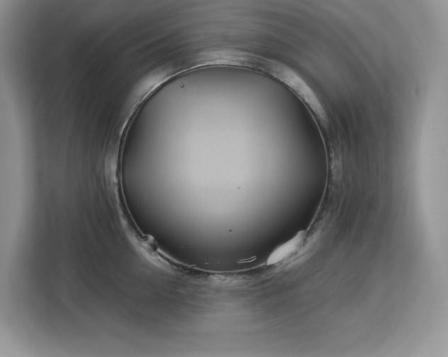 X0000113090954200908281241