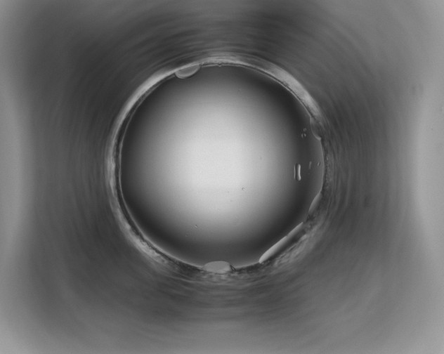 X0000113090955200908281241