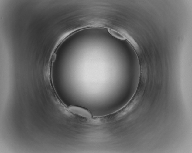 X0000113090956200908281241