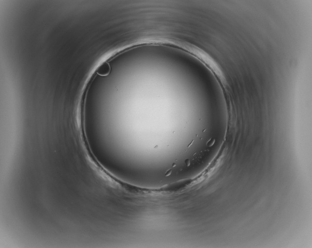 X0000113090958200908281241