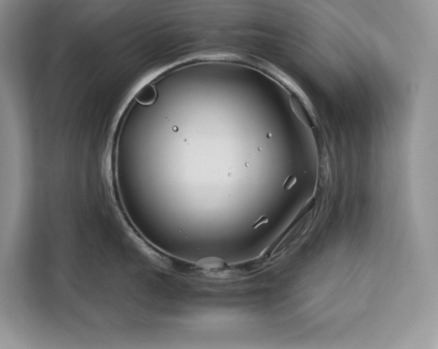 X0000113090959200908281241