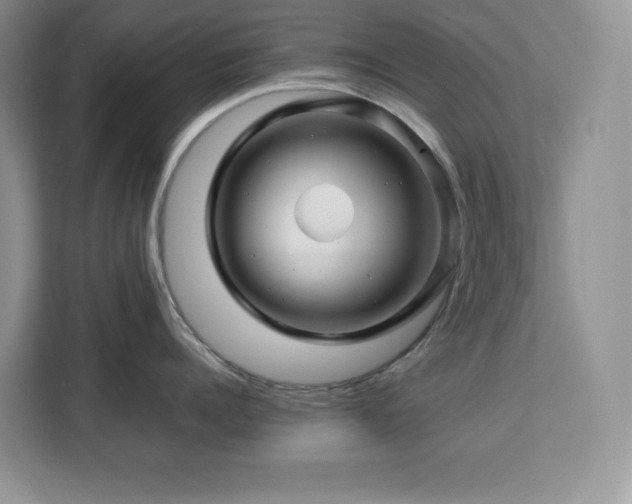 X0000113090960200908281241