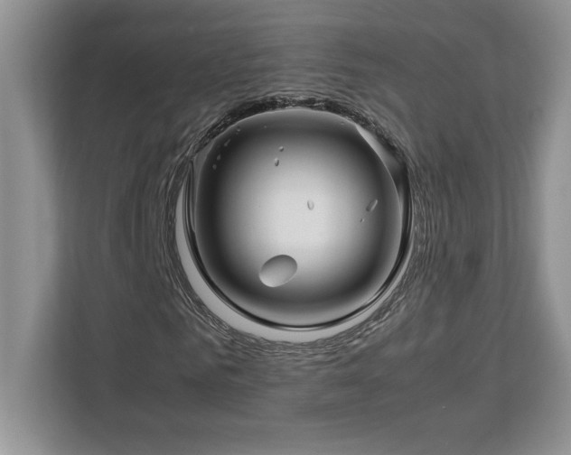 X0000113090961200908281240