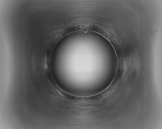X0000113090962200908281240