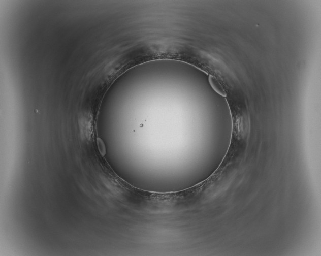 X0000113090963200908281240