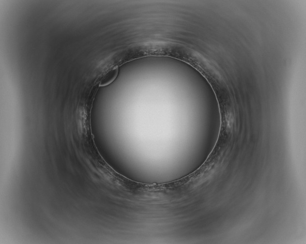 X0000113090964200908281240