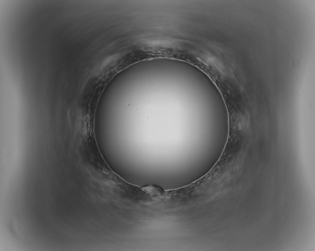 X0000113090965200908281240
