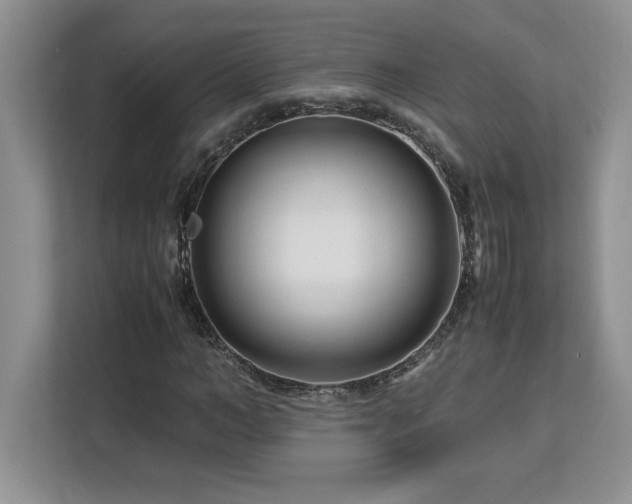 X0000113090966200908281240