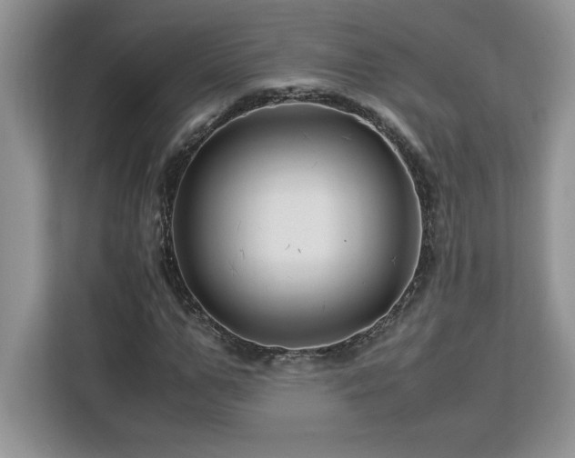 X0000113090967200908281240