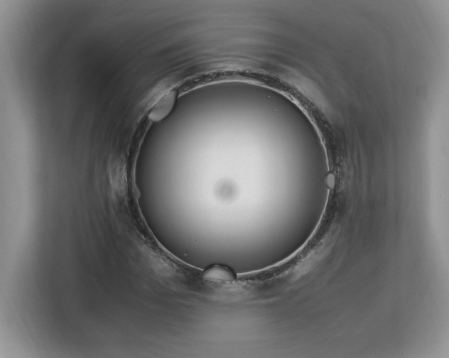 X0000113090969200908281240