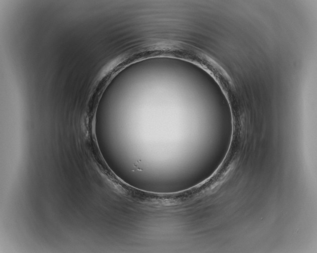 X0000113090970200908281240