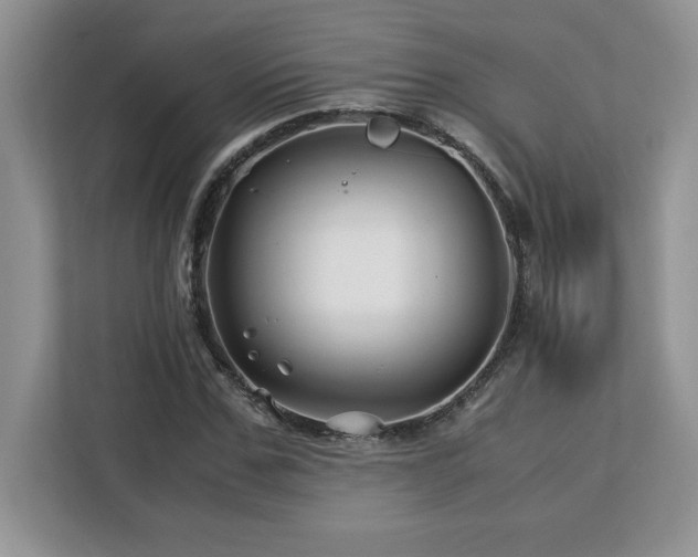 X0000113090971200908281240