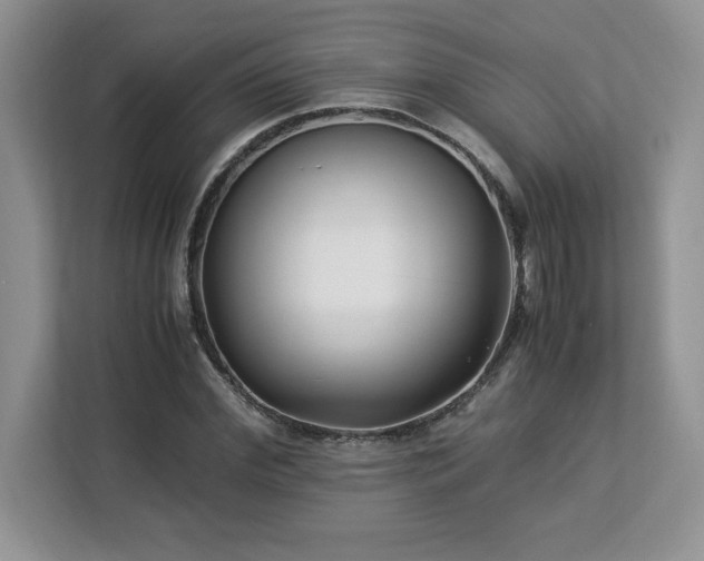 X0000113090972200908281240