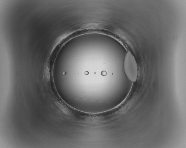 X0000113090973200908281240