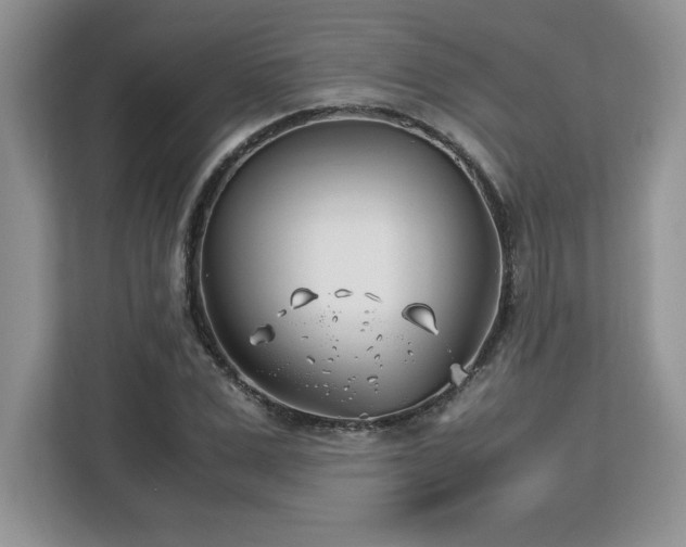 X0000113090975200908281240
