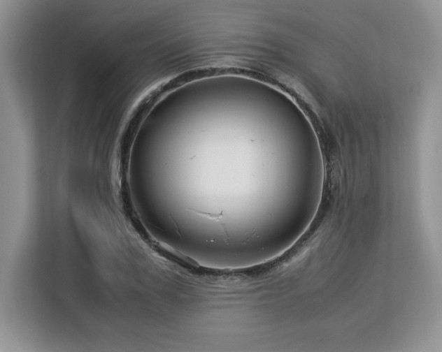 X0000113090979200908281240