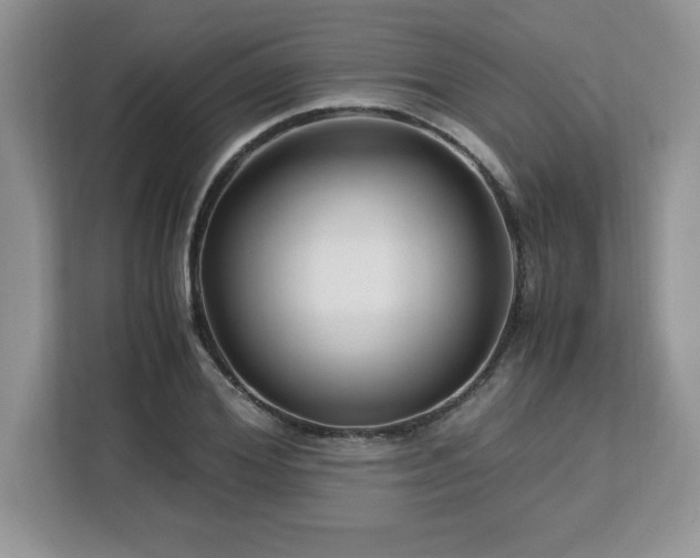 X0000113090980200908281240