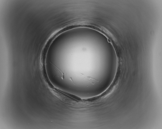 X0000113090981200908281240