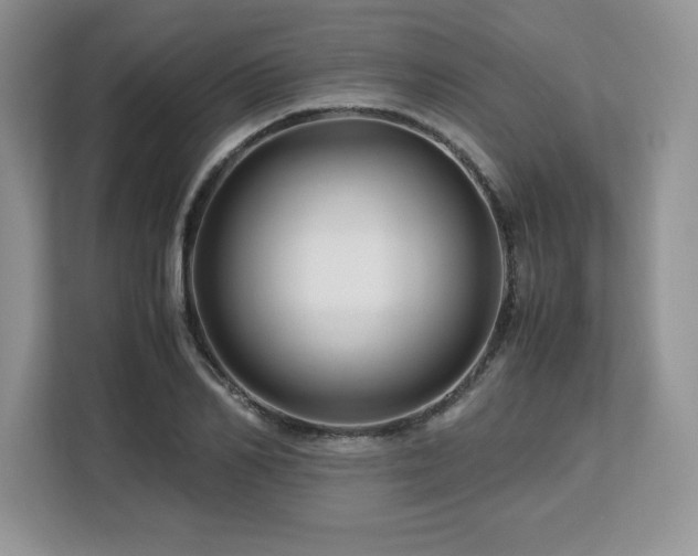 X0000113090982200908281240