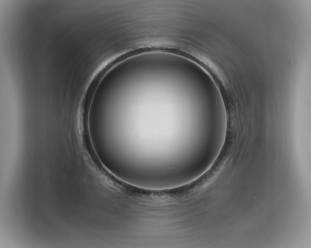 X0000113090983200908281240