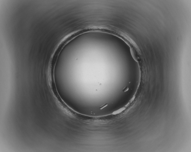 X0000113090984200908281240
