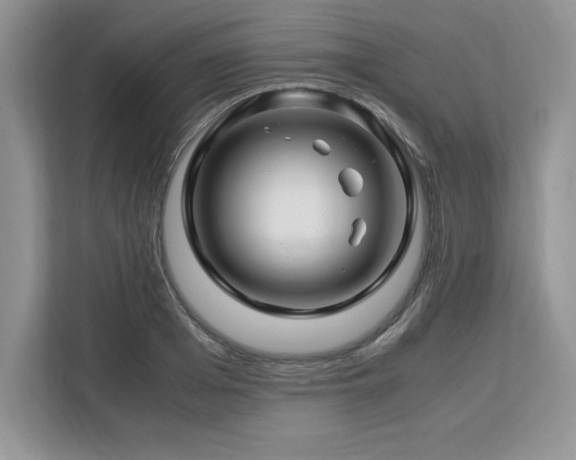 X0000113090985200908281240