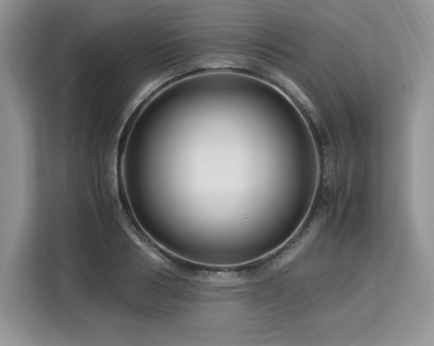 X0000113090986200908281240