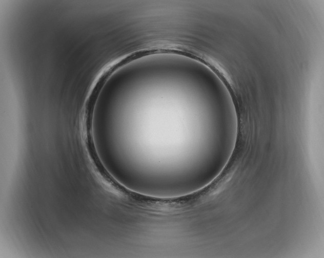 X0000113090987200908281240