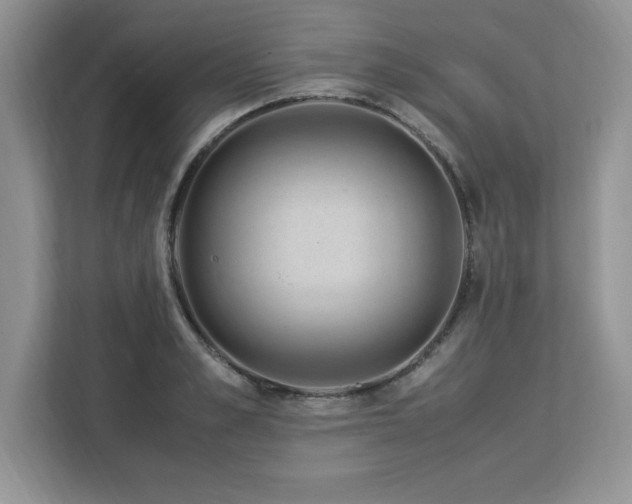 X0000113090989200908281240