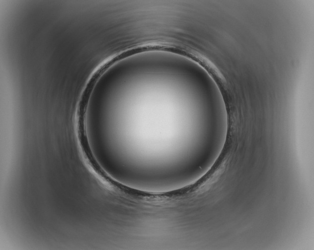 X0000113090991200908281240