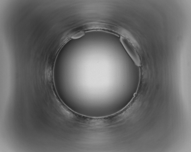X0000113090993200908281240
