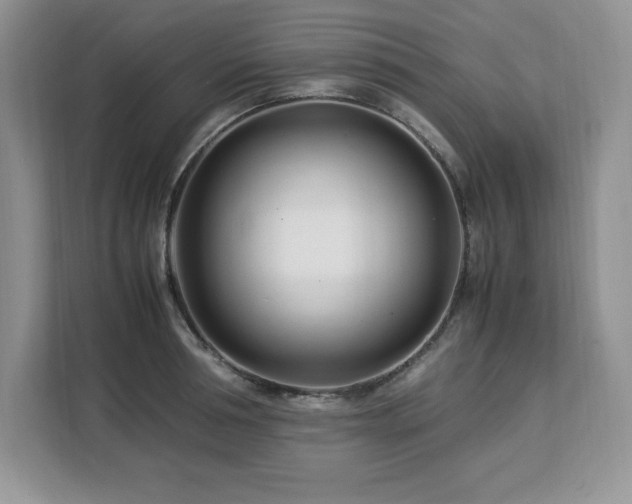X0000113090994200908281240