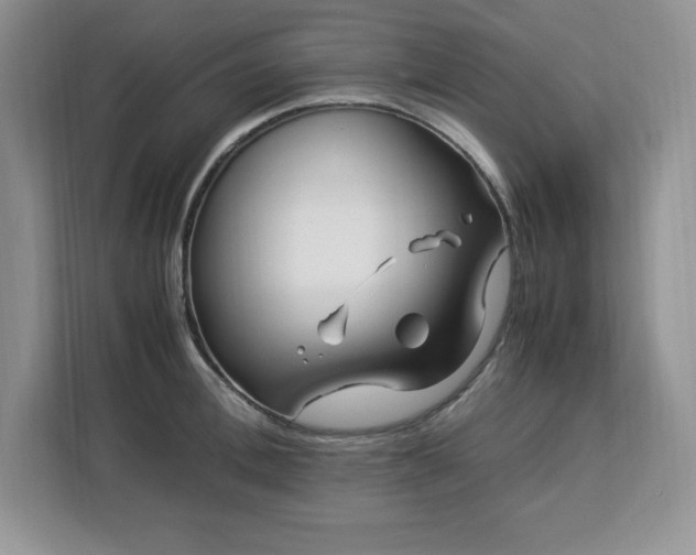 X0000113090996200908281240
