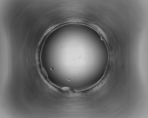 X0000113090997200908281240